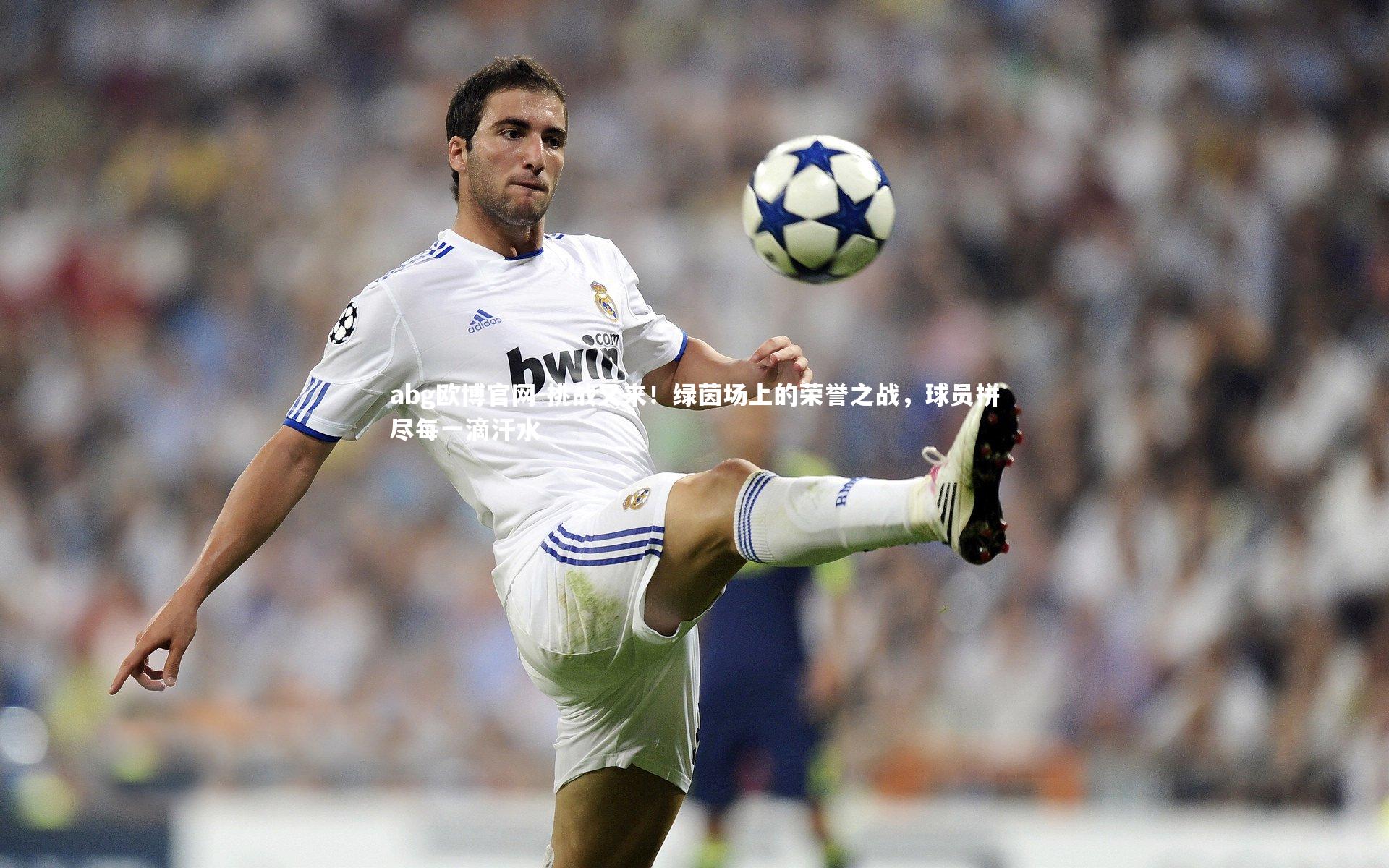 abg欧博官网-挑战又来！绿茵场上的荣誉之战，球员拼尽每一滴汗水